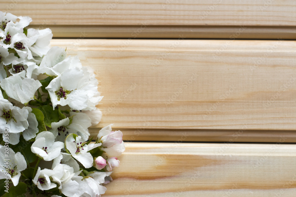 Beautiful flower frame for text made from apple petals, copy space Beautiful flower frame for text made from apple petals, copy space