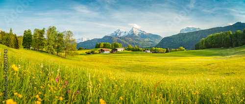 Slika na platnu Idyllic summer landscape in the Alps with blooming meadows at sunset
