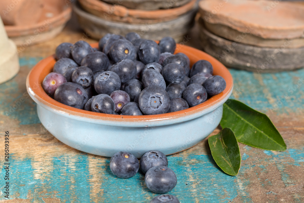 Organic healthy superfood blueberry in bowl, new harvest, raw, ready to eat Organic healthy superfood blueberry in bowl, new harvest, raw, ready to eat