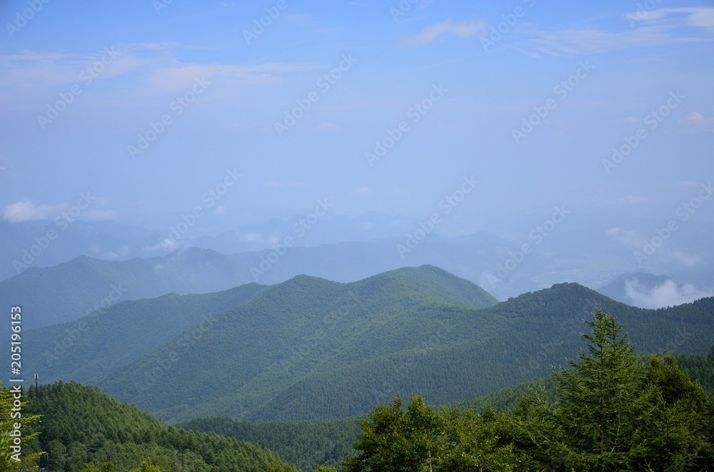 Naklejka premium Utsugushigahara