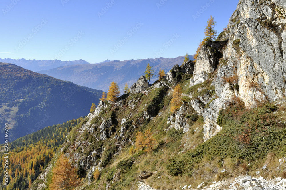 rocky mountain and forest in autumn and under blue sky