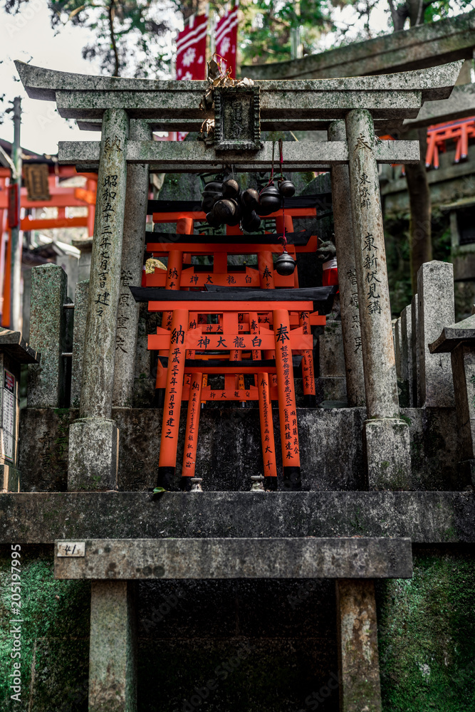 Fototapeta premium mini torii in shrine