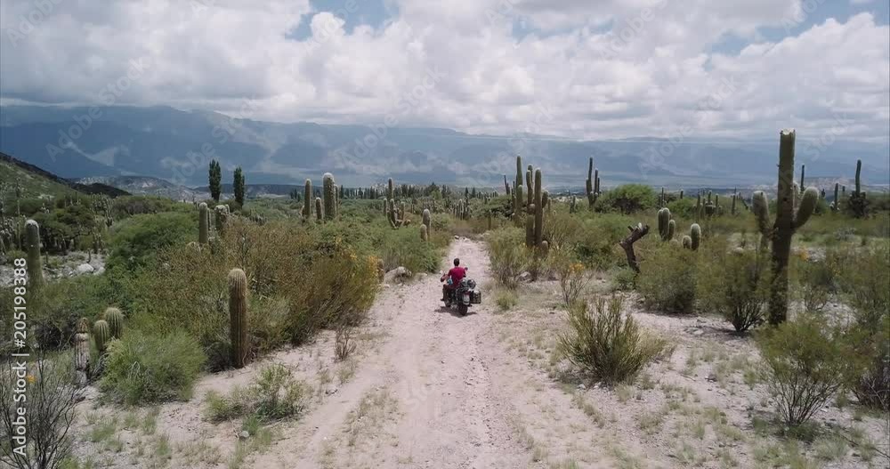 Motorcycle adventure inside a cactus desert. Aerial view, 4k Motorcycle adventure inside a cactus desert. Aerial view, 4k