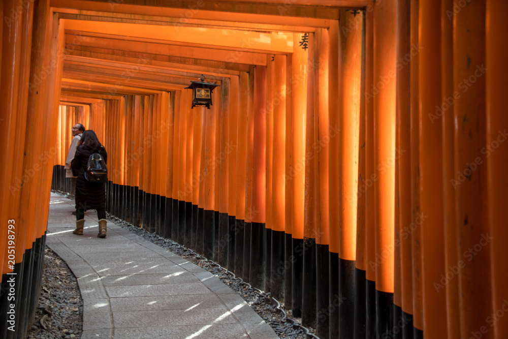 Fototapeta premium Gates tunnel in Fushimi inari shrine