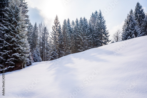 Beautiful winter scenery in the german alps at Oberstdorf, Allgaeu, Bavaria, Germany © Simon Dannhauer