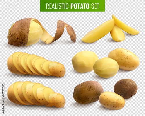 Realistic Potato Set 