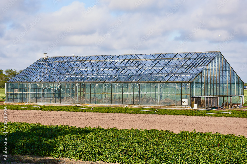 Gewächshaus bei Sint Maartenszee im Feld in den Niederlanden Gewächshaus bei Sint Maartenszee im Feld in den Niederlanden