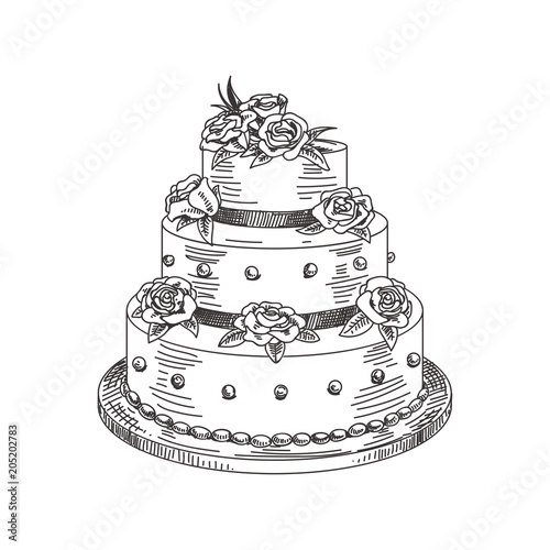 vector hand drawn a wedding cake Illustration