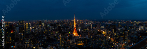 Tokyo Cityscape at night from Roppongi Hills