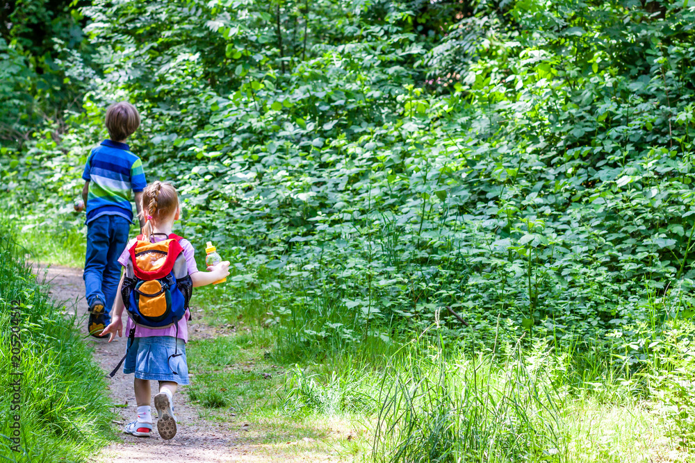 Little boy and girl hiking in the nature Little boy and girl hiking in the nature