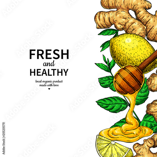Honey, ginger, lemon and mint vector border drawing.