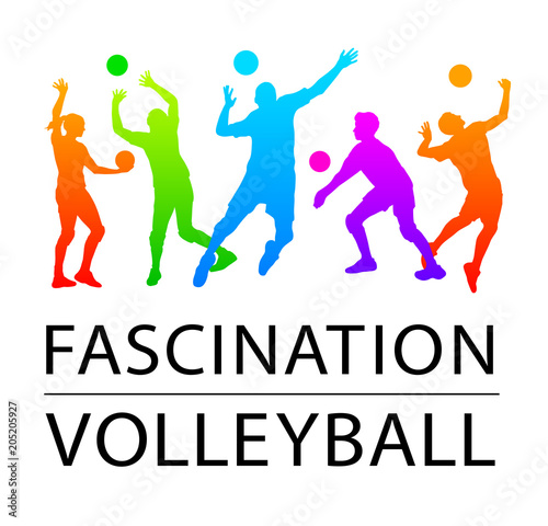 Volleyball - 160