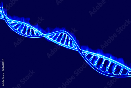 Dna, elica di Dna in fiamme, acido desossiribonucleico è un acido nucleico che contiene le informazioni genetiche per lo sviluppo ed il corretto funzionamento degli organismi viventi. Fuoco e fiamme photo