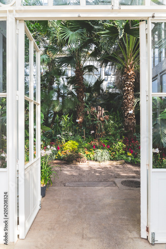Entering in a lush botanical garden
