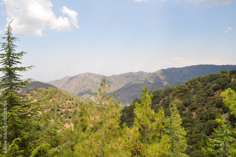 view of the mountains and trees under the sun