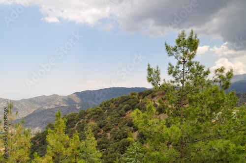 view of the mountains and trees under the sun