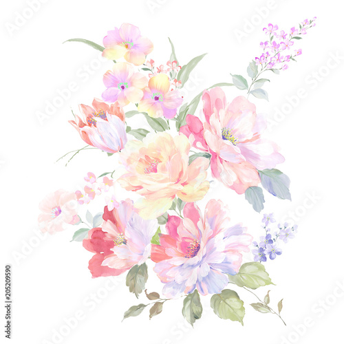 Watercolor rose flower