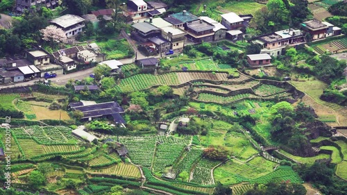 Mountains And Valleys of Garden Calla Lily with houses in Qixing Mountain in the center of Yangmingshan National Park photo