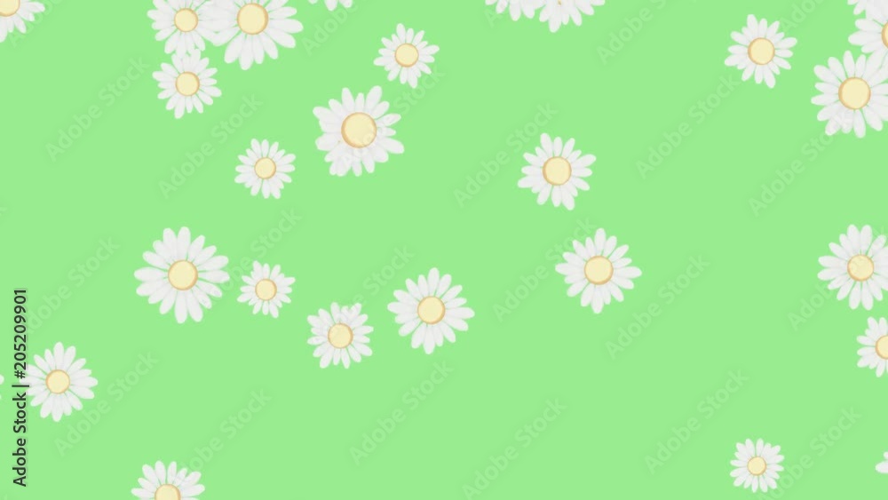 Floral / Daisy Seamless Loopable Background. Hand Painted. Ideal For Your Spring / Summer / Nature Related Projects. High-Quality Illustration. 4K, 60fps Floral / Daisy Seamless Loopable Background. Hand Painted. Ideal For Your Spring / Summer / Nature Related Projects. High-Quality Illustration. 4K, 60fps