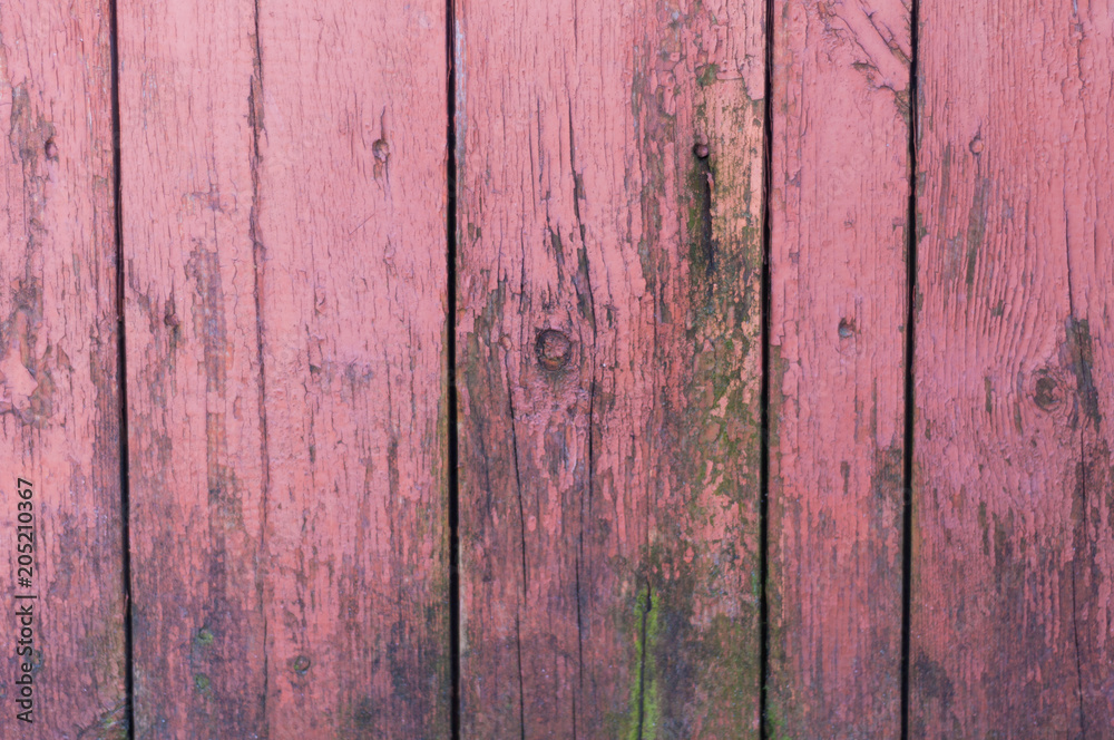 Red old weathered worn rustic wooden boards with green moss. Background