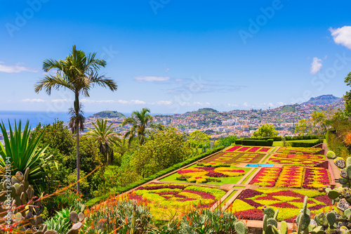 Fototapeta Naklejka Na Ścianę i Meble -  Botanical garden in Funchal, Madeira island, Portugal