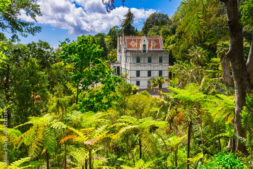 Φωτογραφία Botanical garden in Funchal, Madeira island, Portugal