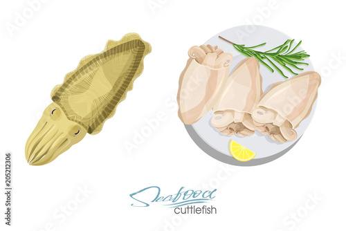 Cuttlefish seafood isolated sketch. Illustration of a dish of cuttlefish with lemon and rosemary on a plate. Cuttlefish cooked. Vector Illustration.