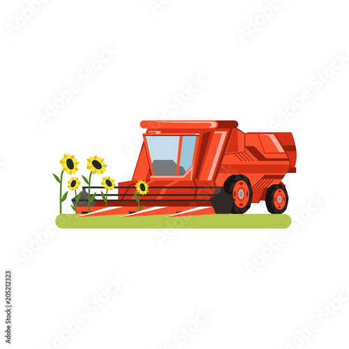 Combine harvester working in field gathering sunflowers, agricultural machinery vector isolated on a white background