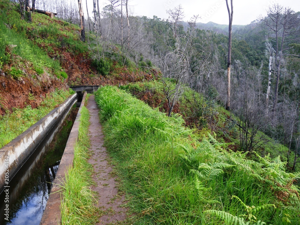 Obraz premium Canal d'eau de pluie Levada nova à Madère au Portugal.