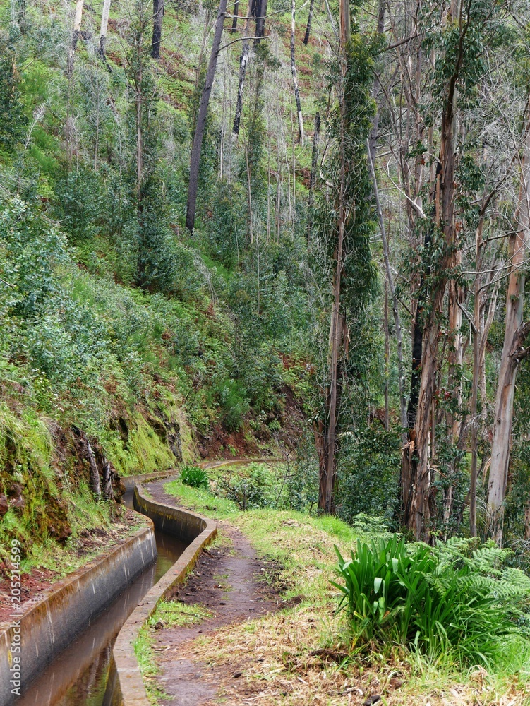 Canal d'eau de pluie Levada nova à Madère au Portugal. Canal d'eau de pluie Levada nova à Madère au Portugal.