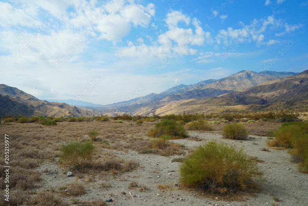 Palm Springs Desert - California