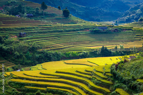 Fototapeta Naklejka Na Ścianę i Meble -  Beautiful mountain range with rice terraced view point at Mu Cang Chai district, Yen Bai province, during trip HANOI to SAPA Northwest Vietnam