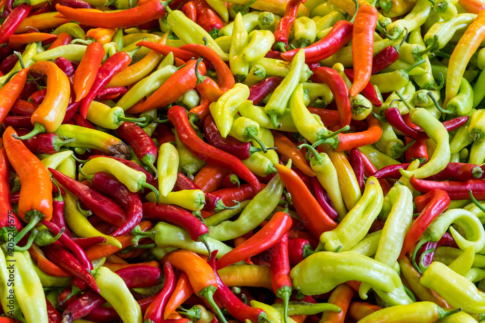 Variety of red, green and yellow hot pepper sold on a market 