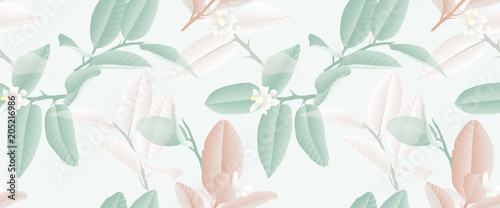Seamless pattern, hand drawn pastel green, brown and white lime flowers and leaves on light green background