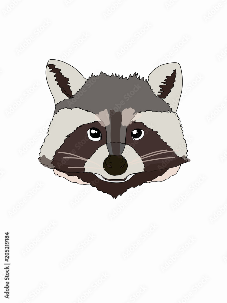 cartoon raccoon face illustration Stock Illustration | Adobe Stock