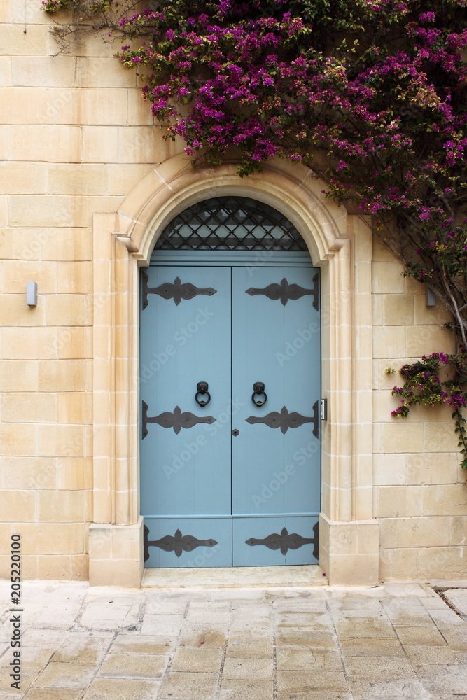 Medieval front door