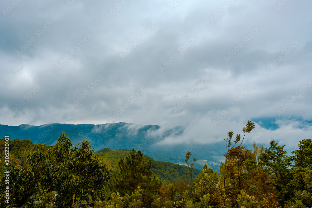 Fototapeta premium high mountains peaks range clouds in fog scenery landscape national park view outdoor at Chiang Rai, Chiang Mai Province, Thailand