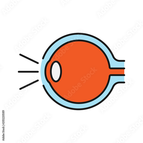 Eye anatomy color icon