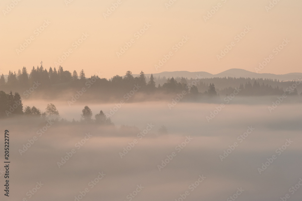 Yellow foggy sunrise in the mountains