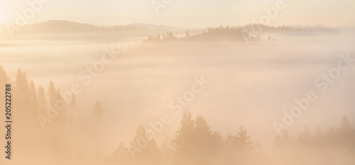 Fototapeta Naklejka Na Ścianę i Meble -  Yellow foggy sunrise in the mountains
