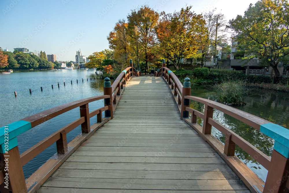 Naklejka premium 洗足池公園