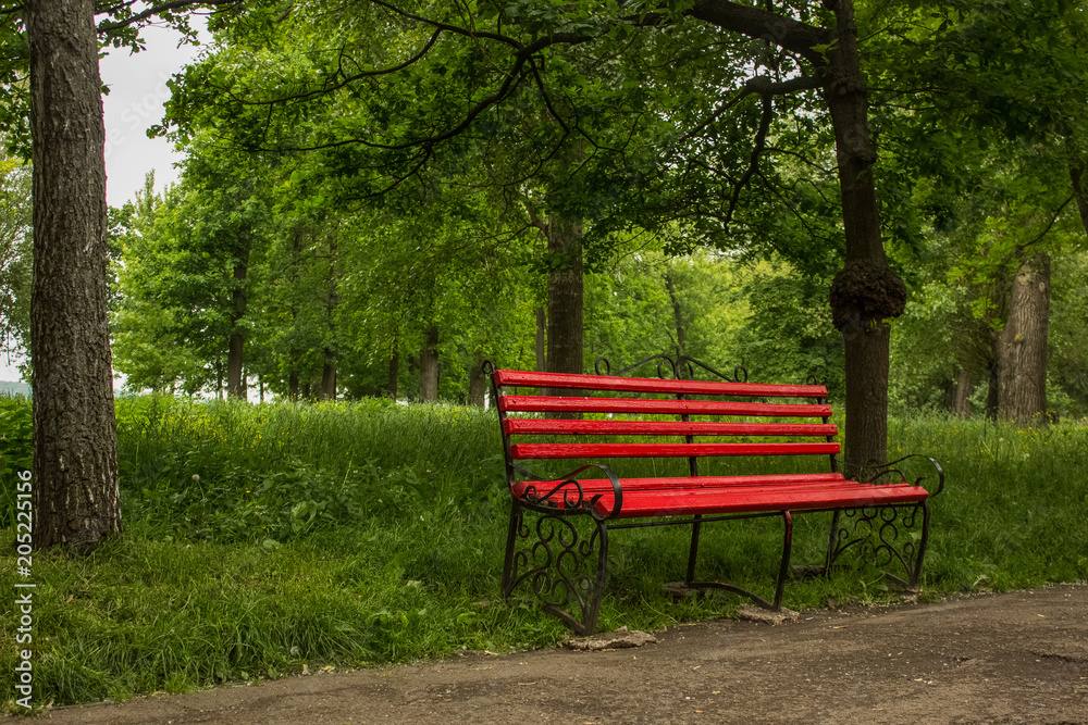 green summer outside park near river with red benches and nobody