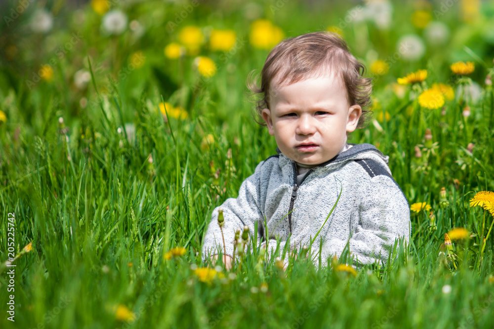 Portrait of a beautiful little boy outdoors. A child in nature Portrait of a beautiful little boy outdoors. A child in nature