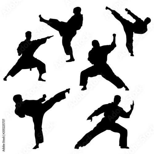 Single combats, a set of silhouettes of a karate in different poses photo