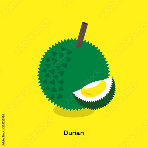 DURIAN WITH GREEN SHELL ON YELLOW BACKGROUND
The illustration of yellow durian with green shell and thorn show pulp and seed on yellow background. 