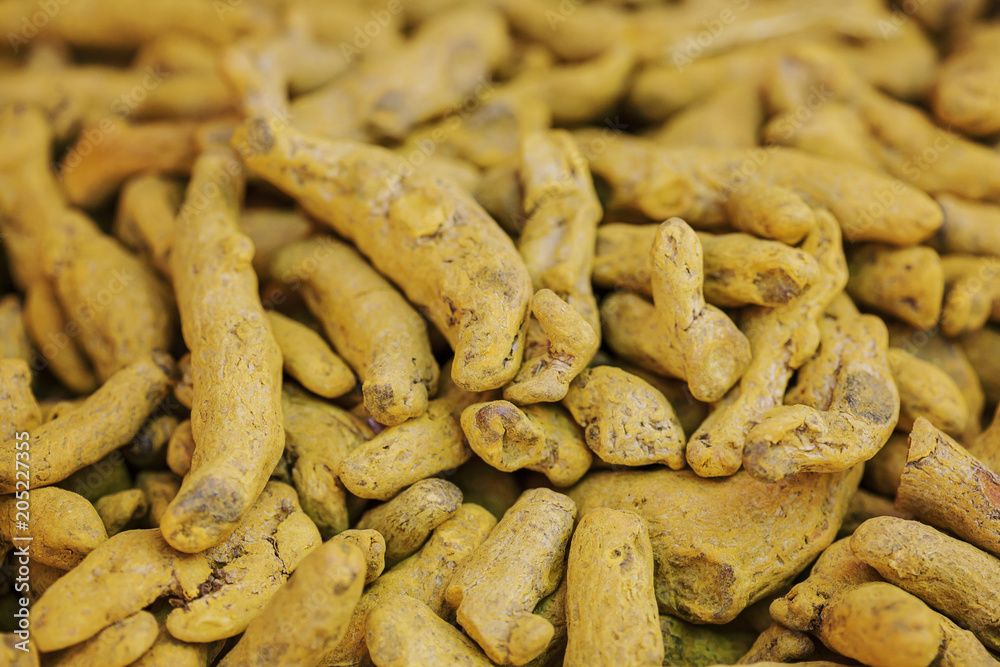Raw Turmeric roots background Raw Turmeric roots background