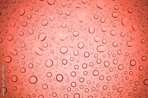 Rain droplets on red glass background  Water drops on glass.