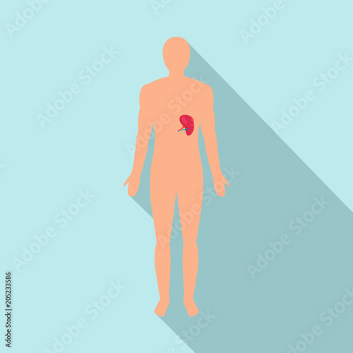 Front view of human spleen icon. Flat illustration of front view of human spleen vector icon for web design