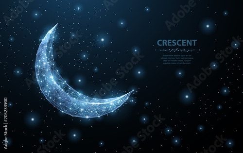 Fotografia, Obraz Vector crescent moon