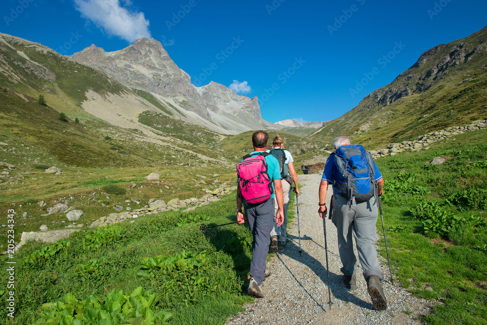 Group of retired elderly hikers during walk in the mountains